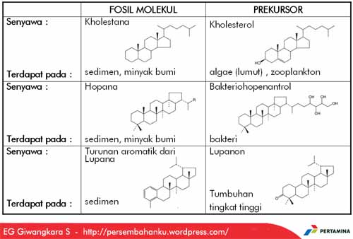 Fosil molekul dan prekursornya